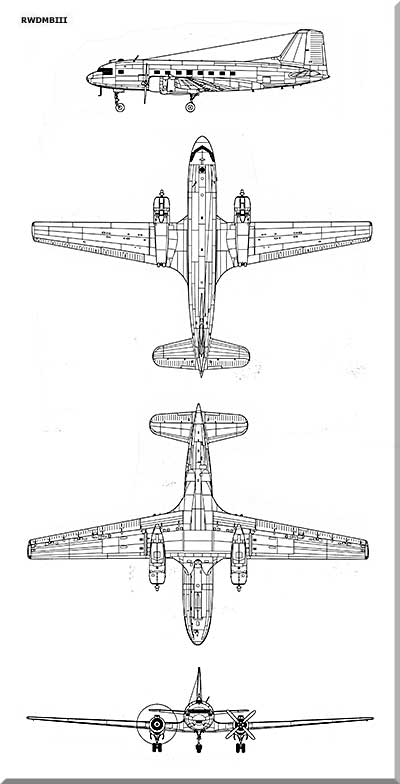 IL-14