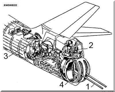 IL-28