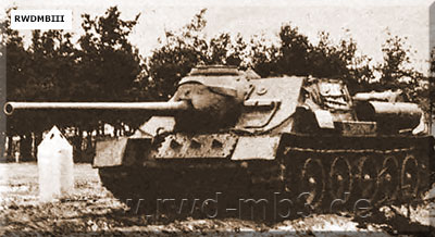SU-100