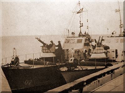 Reedeschutzboot Tümmler
