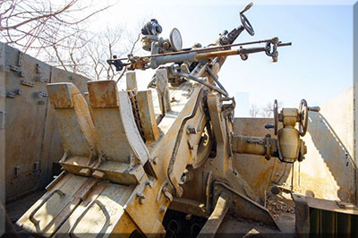 W-11